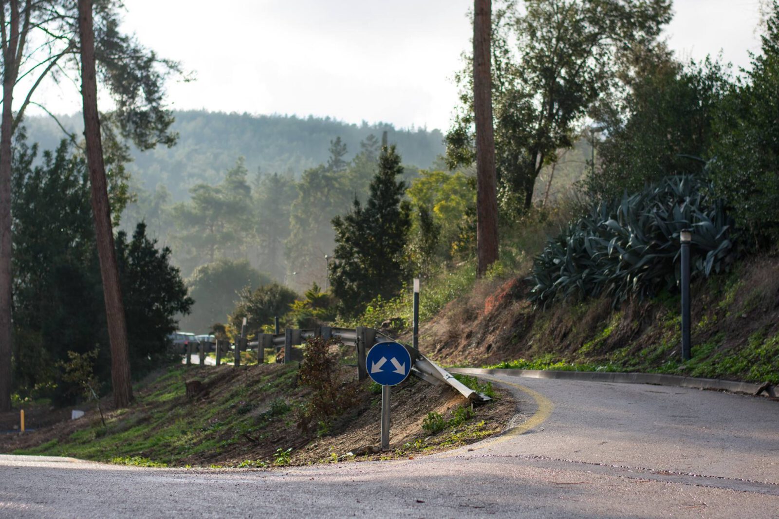 46104954 10156198046399751 1185912767610093568 N